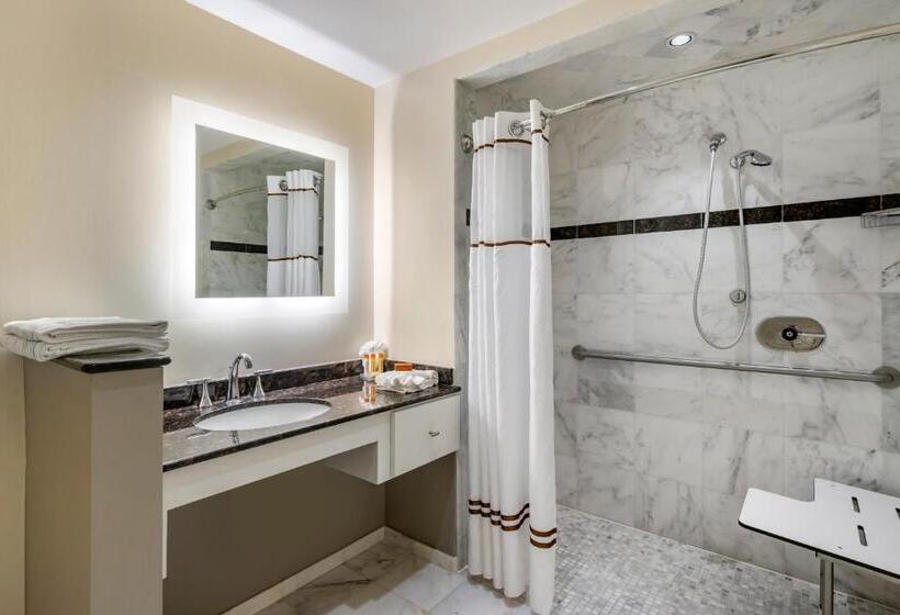 Номер Стандарт Кровать Кинг Адаптированный для Инвалидов, Wyvern Hotel, Ascend Hotel Collection