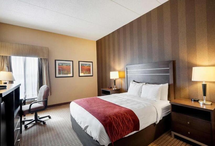 Люкс с гидромассажем, Quality Inn & Suites Bel Air I 95 Exit 77a