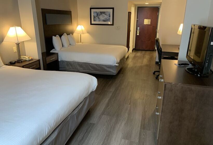 Номер Стандарт, Wingate By Wyndham Southport