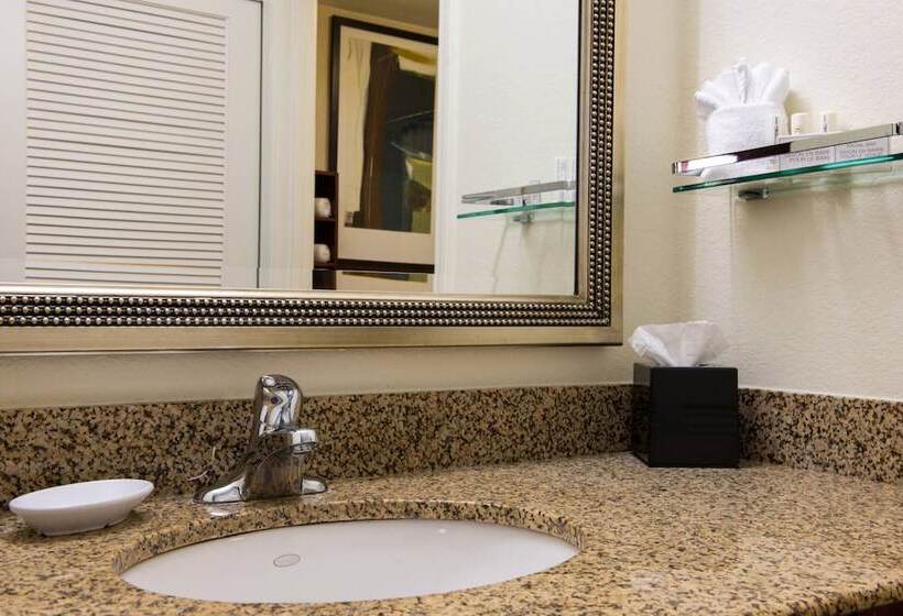 套房, Residence Inn Gainesville I 75