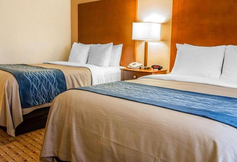 스탠다드 룸, Comfort Inn & Suites Franklin East