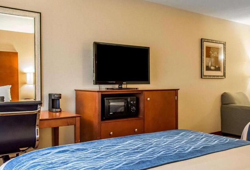 스탠다드 룸, Comfort Inn & Suites Franklin East