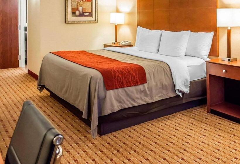 스탠다드 룸 킹사이즈 침대, Comfort Inn & Suites Franklin East