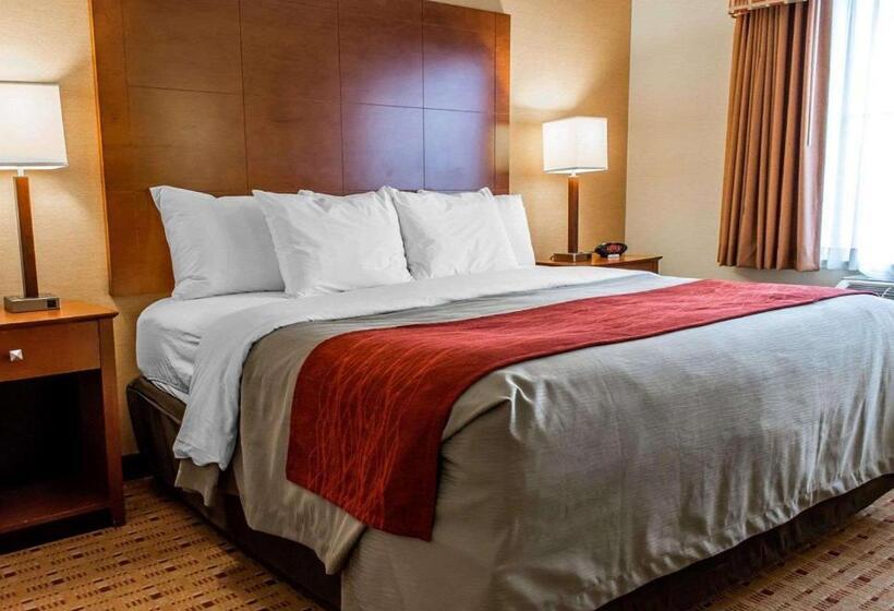 스위트 킹사이즈 침대, Comfort Inn & Suites Franklin East