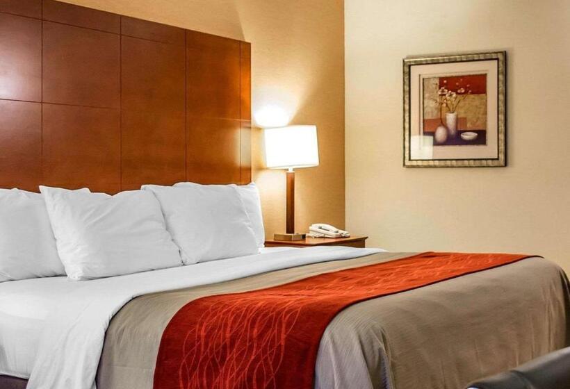 장애인을 위한 킹사이즈 침대 스탠다드 룸, Comfort Inn & Suites Franklin East