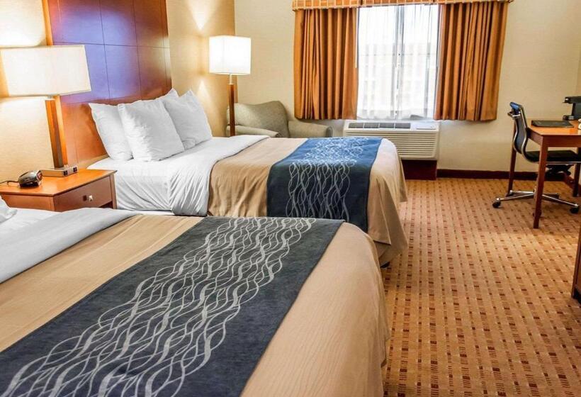 장애인을 위한 스탠다드 룸, Comfort Inn & Suites Franklin East