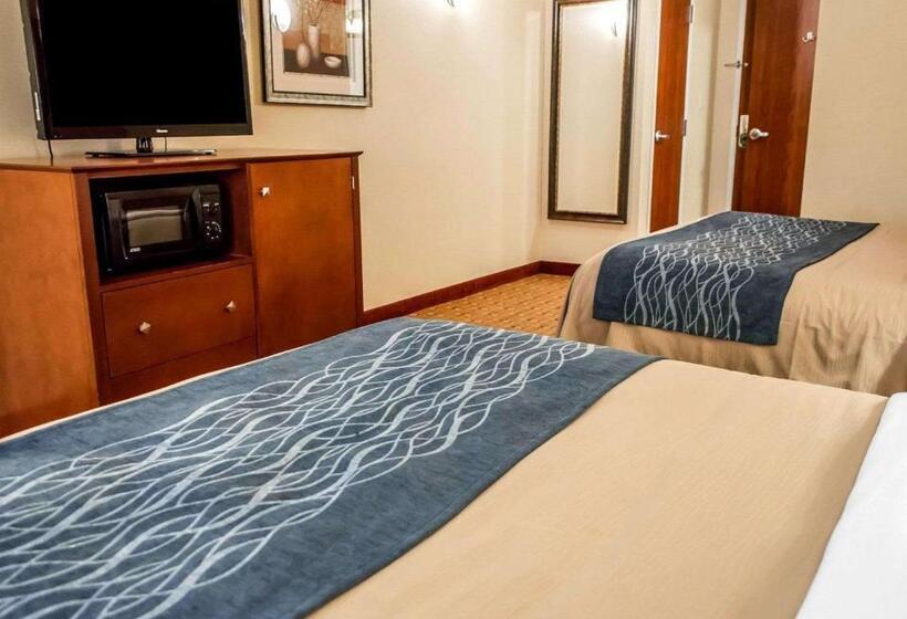 장애인을 위한 스탠다드 룸, Comfort Inn & Suites Franklin East