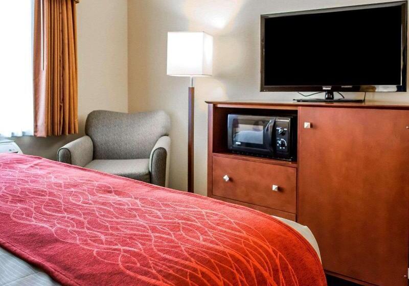 스탠다드 룸 킹사이즈 침대, Comfort Inn & Suites Franklin East