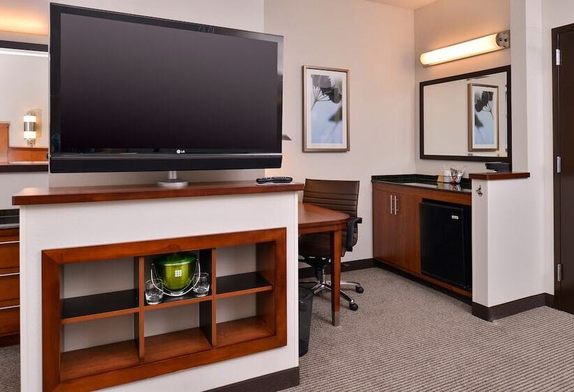 Стандартный Номер Кровать Кинг, Hyatt Place Garden City
