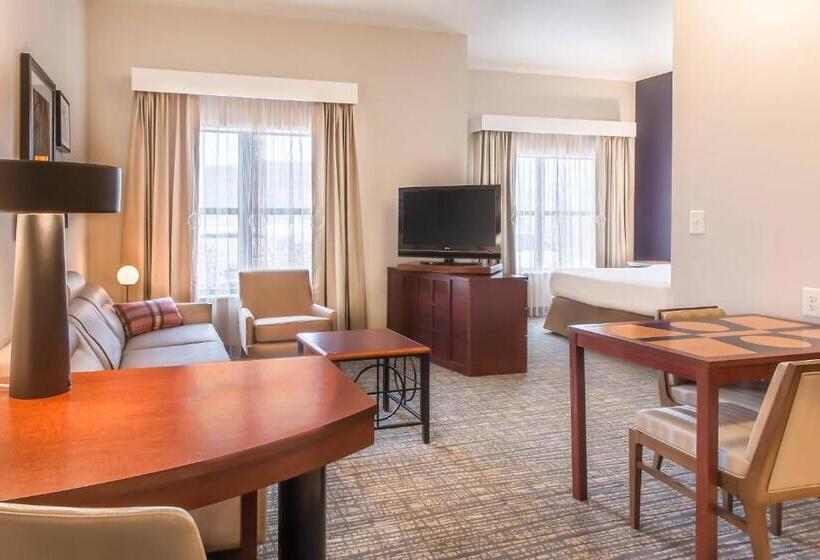 استودیو استاندارد با تخت کینگ, Residence Inn Lexington Keeneland/airport