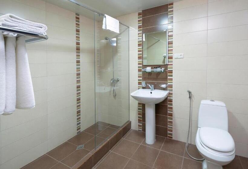 اتاق استاندارد یک نفره, Ani Central Inn