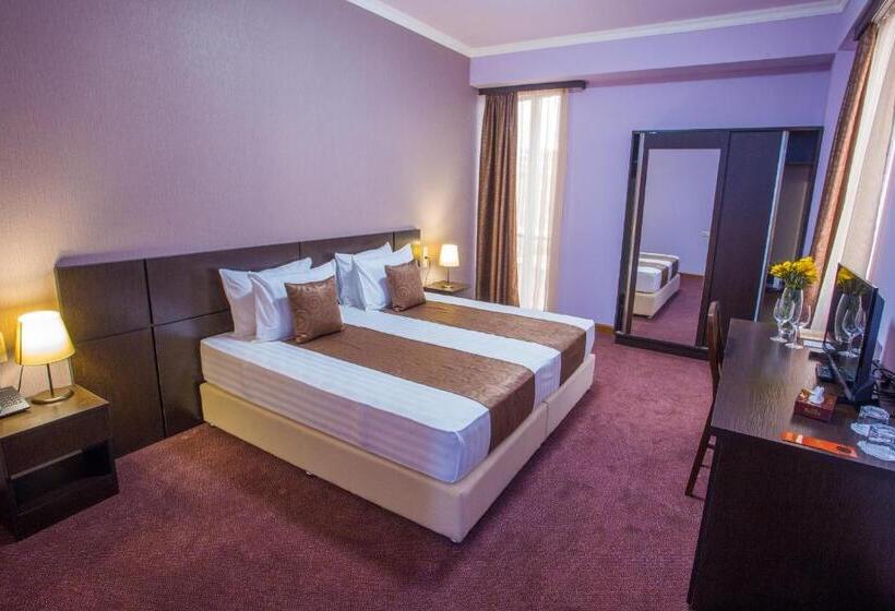 اتاق لوکس, Ani Central Inn