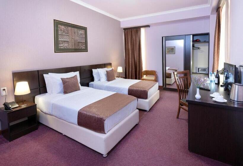 اتاق لوکس, Ani Central Inn