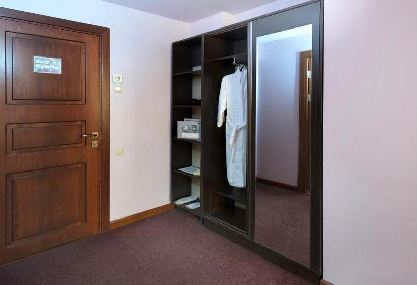 اتاق سوپریور یک تخته, Ani Central Inn