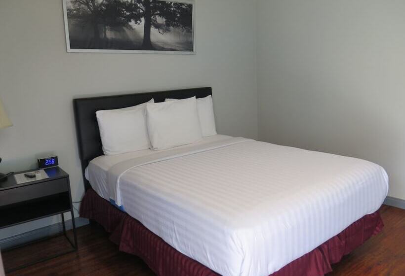 Quarto Deluxe, Dtla