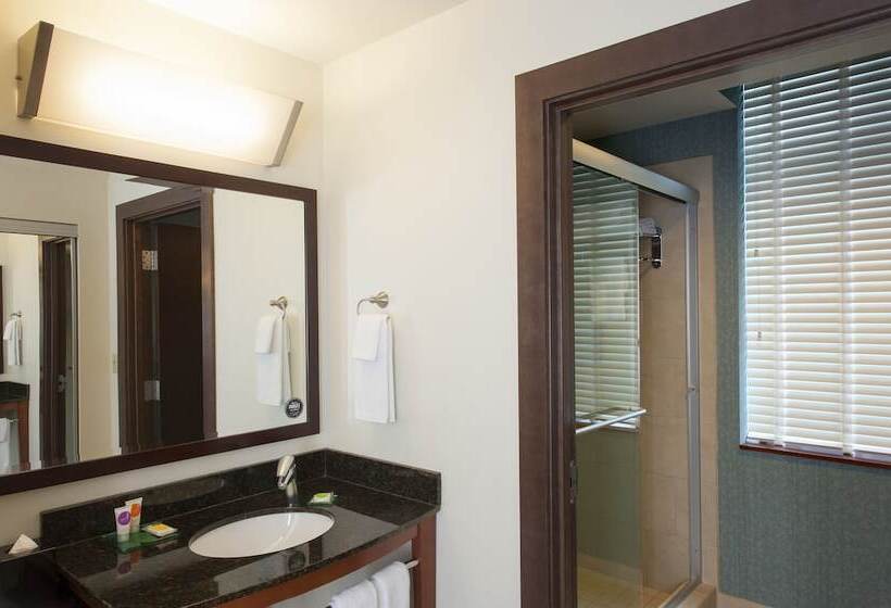 سوئیت با تخت بزرگ, Hyatt Place Des Moines/downtown