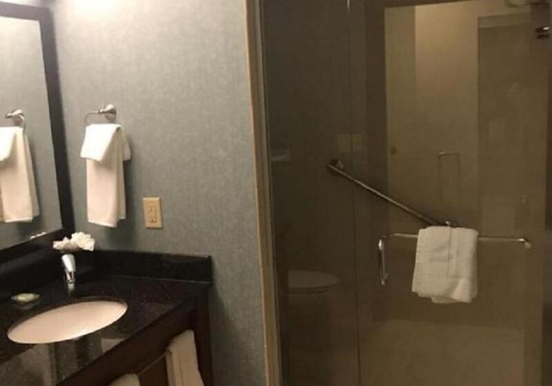 اتاق استاندارد با تخت بزرگ, Hyatt Place Des Moines/downtown