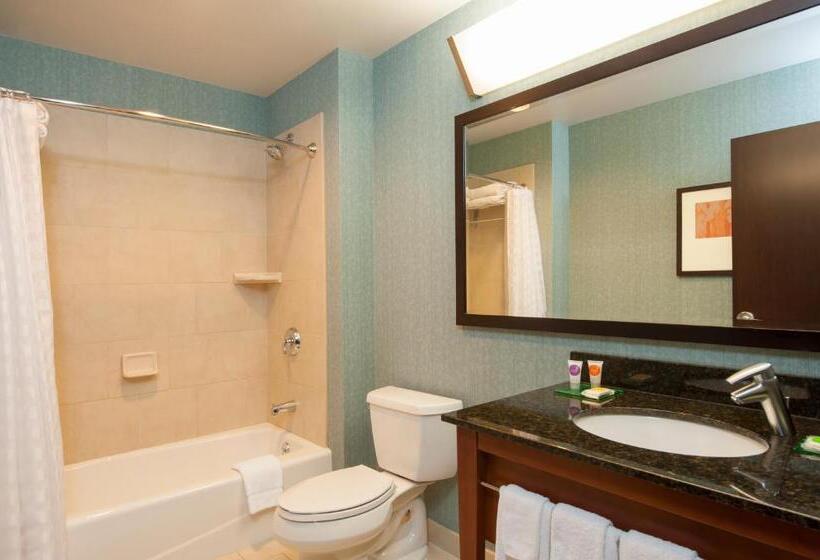 اتاق استاندارد با تخت بزرگ, Hyatt Place Des Moines/downtown