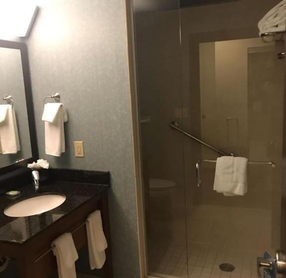 اتاق استاندارد با تخت بزرگ, Hyatt Place Des Moines/downtown