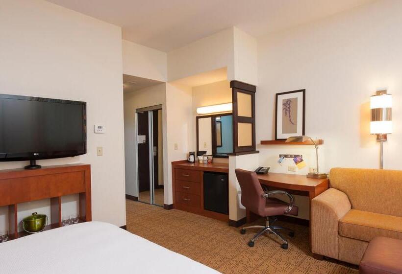 اتاق استاندارد با تخت بزرگ, Hyatt Place Des Moines/downtown