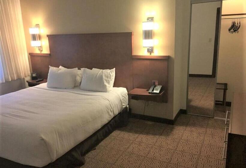 سوئیت با تخت بزرگ, Hyatt Place Des Moines/downtown