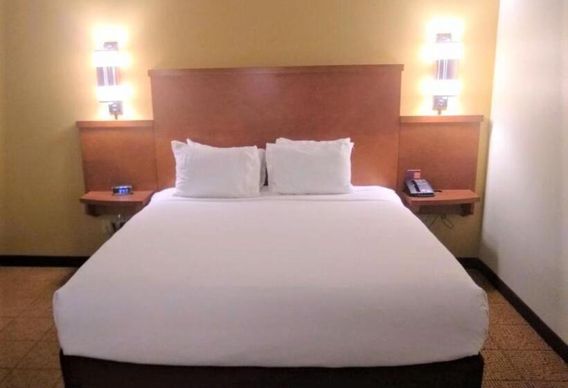 سوئیت با تخت بزرگ, Hyatt Place Des Moines/downtown