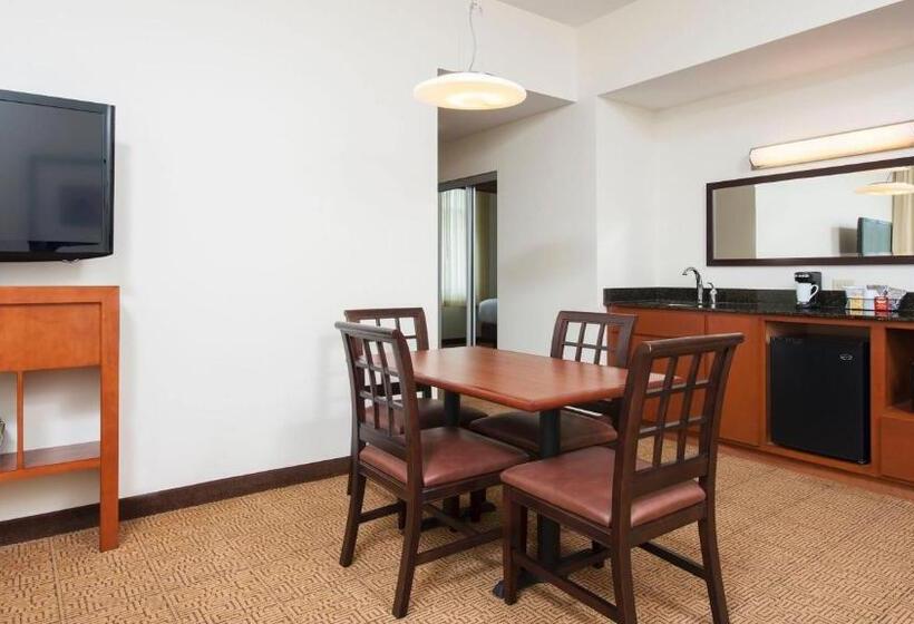 سوئیت با تخت بزرگ, Hyatt Place Des Moines/downtown
