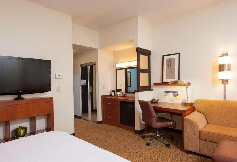 اتاق استاندارد برای معلولان, Hyatt Place Des Moines/downtown