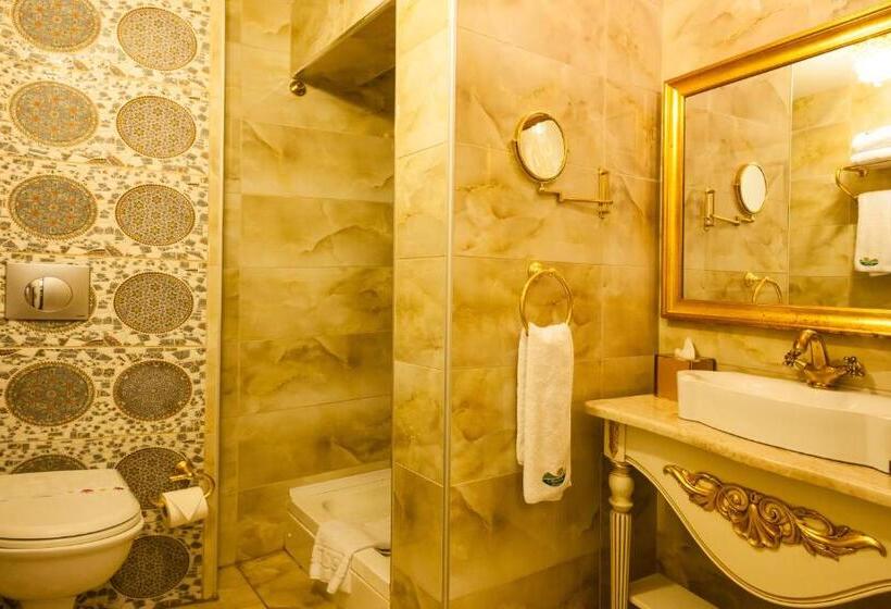 高级大房间, İstanbul Bosphorus Hotel Symbola