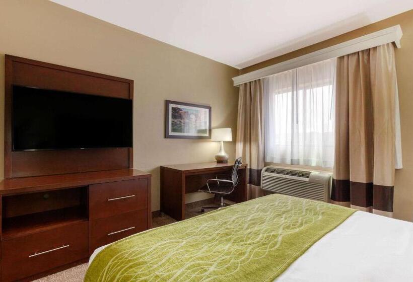 Номер Стандарт, Comfort Inn & Suites Page At Lake Powell