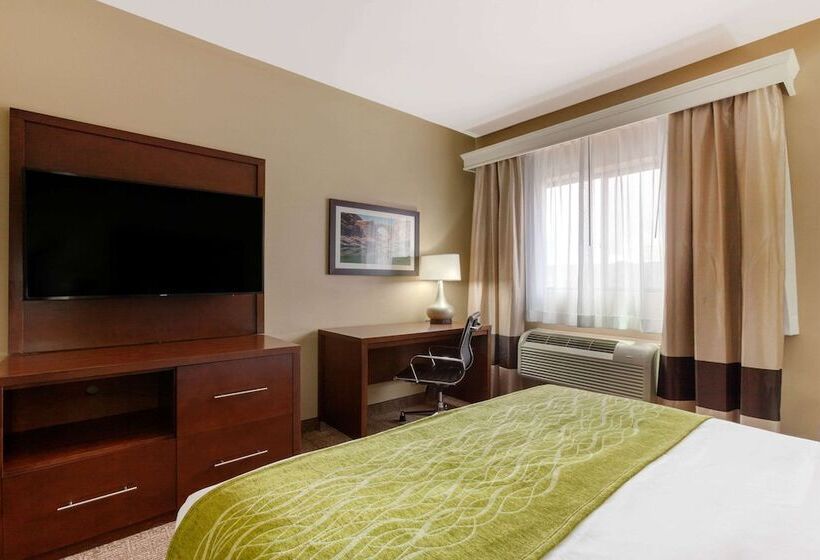 Номер Стандарт 2 Двуспальные Кровати, Comfort Inn & Suites Page At Lake Powell