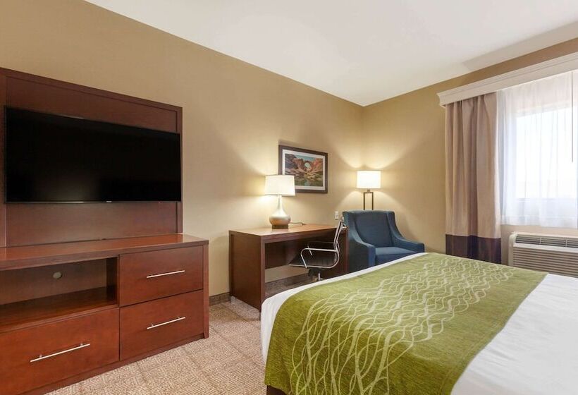 Номер Стандарт 2 Двуспальные Кровати, Comfort Inn & Suites Page At Lake Powell