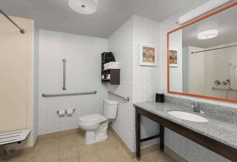 Номер Стандарт Адаптированный для Инвалидов, Hampton Inn Augusta