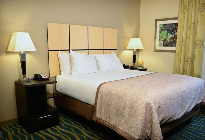 Студия Стандарт, Candlewood Suites Denver Northeast   Brighton, An Ihg