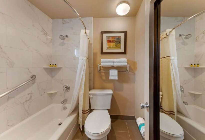 اتاق استاندارد با 2 تخت دوبل, Best Western Plus Pavilions