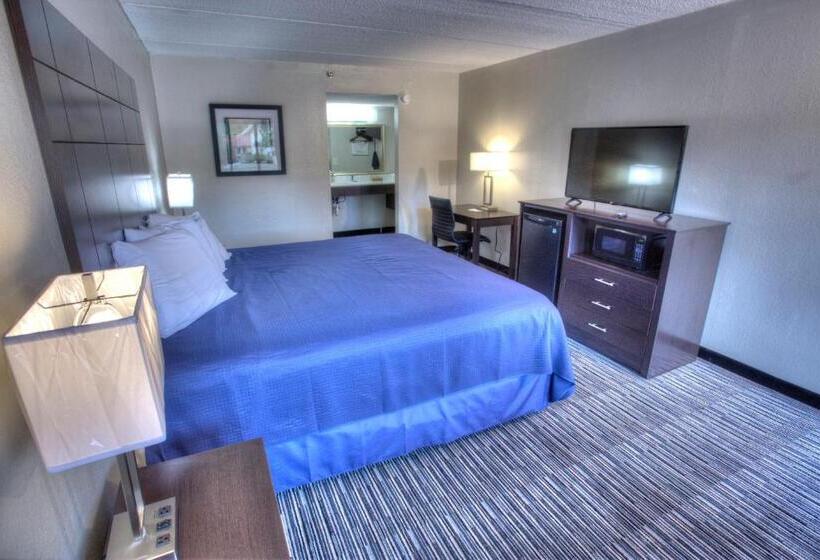 חדר סטנדרט יחיד מותאם לאדם עם מוגבלויות, Budgetel Inn And Suites Plus Helen
