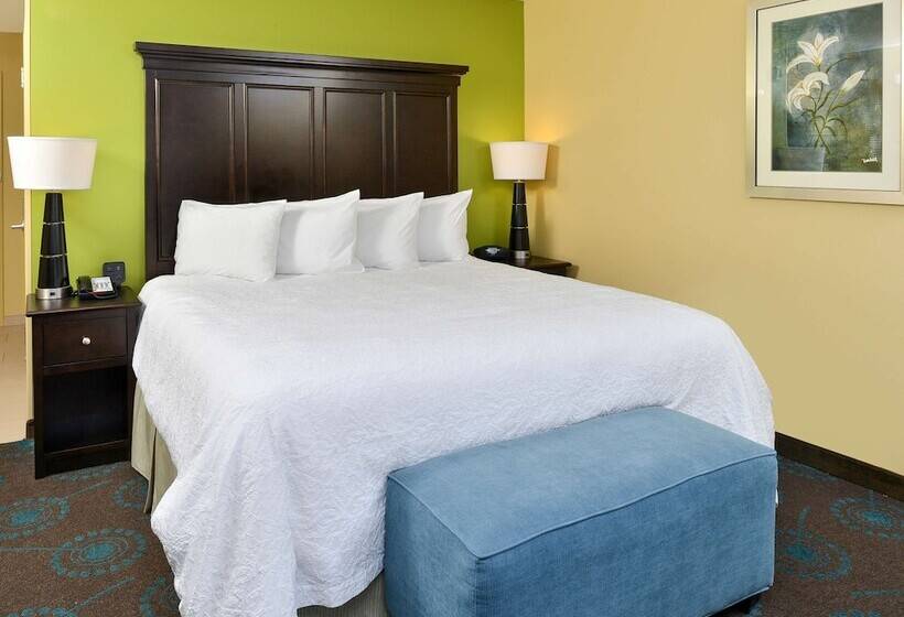 스탠다드 룸 킹사이즈 침대, Hampton Inn Iowa City/university Area