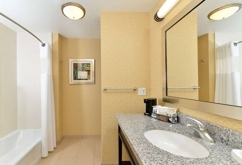 스탠다드 룸 킹사이즈 침대, Hampton Inn Iowa City/university Area