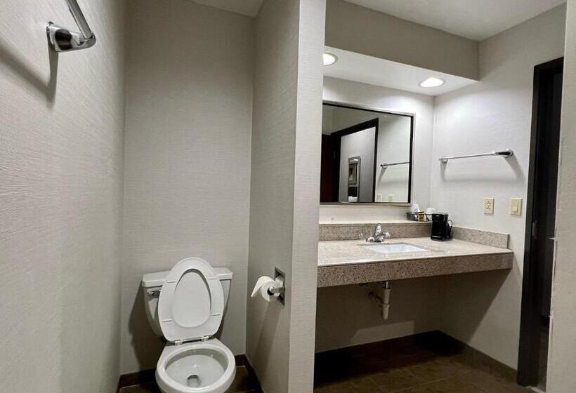 스탠다드 스튜디오 킹침대, Hometowne Studios & Suites Washington