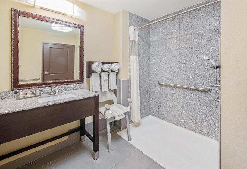 Номер Стандарт Кровать Кинг Адаптированный для Инвалидов, La Quinta By Wyndham Elk City