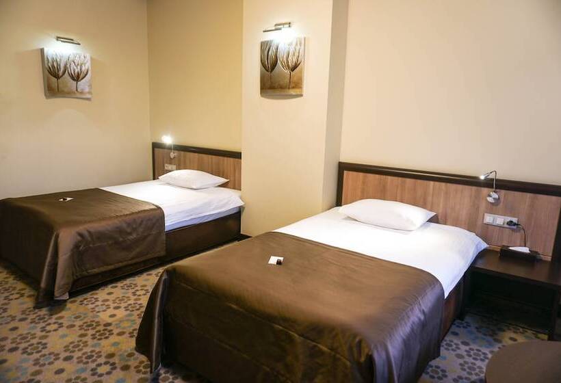 اتاق کلاسیک, Park Hotel Golosievo