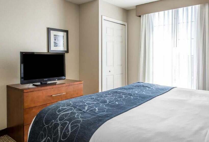 Люкс, Comfort Suites Near Potomac Mills