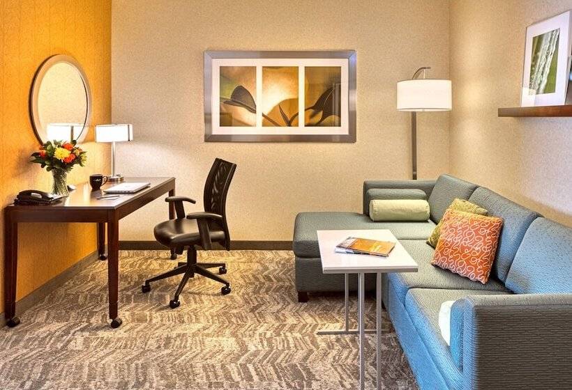 Люкс, Springhill Suites By Marriott Salt Lake City Downtown