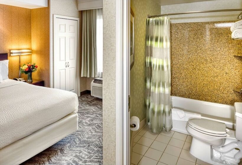 Люкс, Springhill Suites By Marriott Salt Lake City Downtown