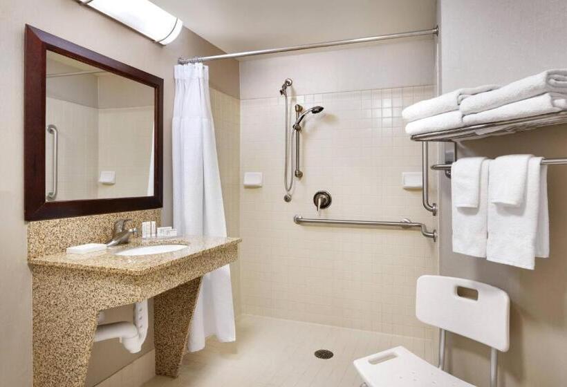 Студио Стандарт Кровать Кинг, Springhill Suites Thatcher