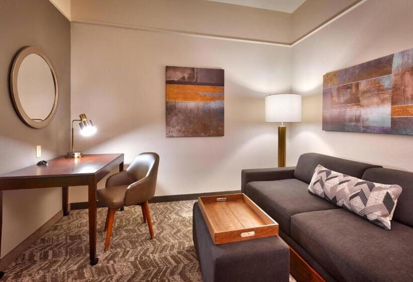 Студио Стандарт Кровать Кинг, Springhill Suites Thatcher