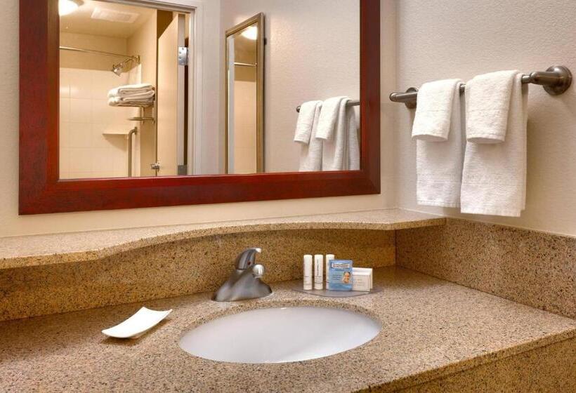 Студия Deluxe, Springhill Suites Thatcher