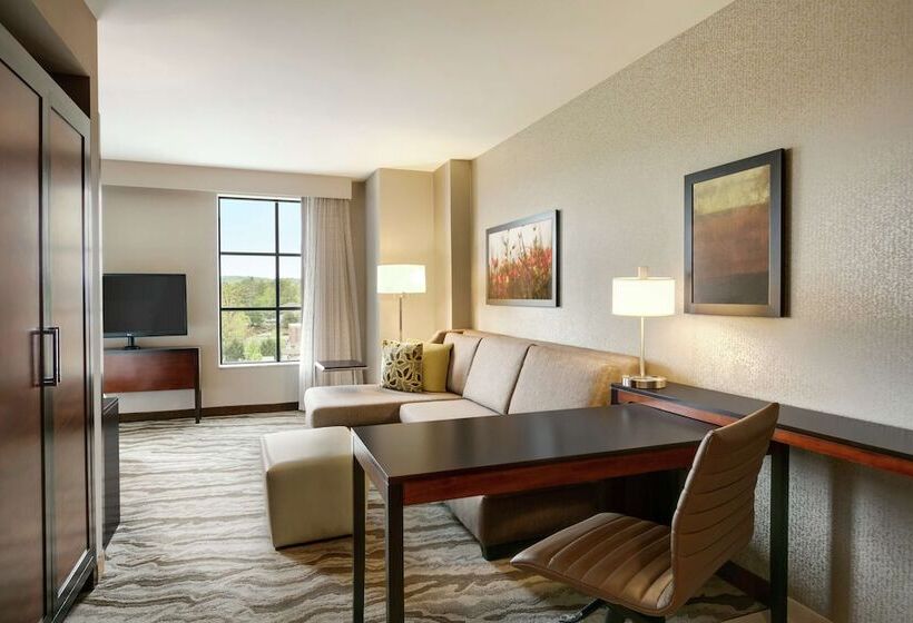 Studio Standard Lit Double, Embassy Suites Chattanooga / Hamilton Place
