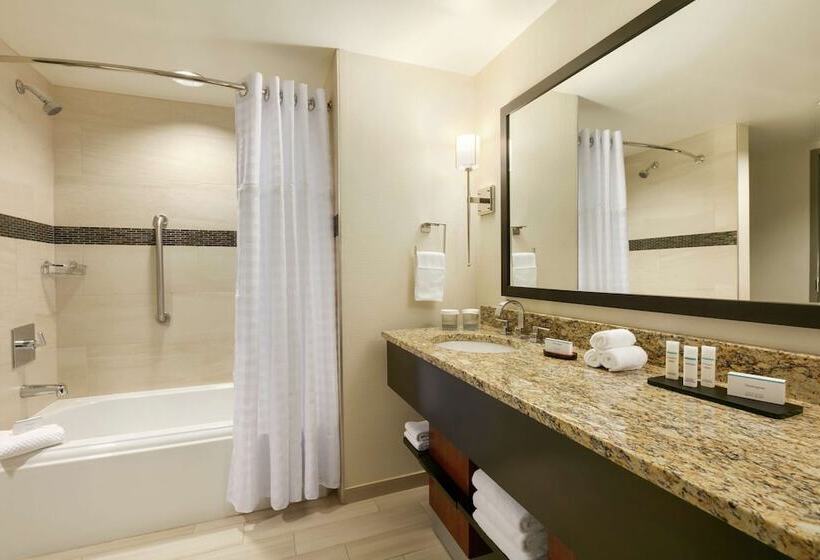 Suite Adaptée aux Personnes à Mobilité Réduite, Embassy Suites Chattanooga / Hamilton Place