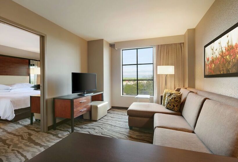 Suite Adaptée aux Personnes à Mobilité Réduite, Embassy Suites Chattanooga / Hamilton Place